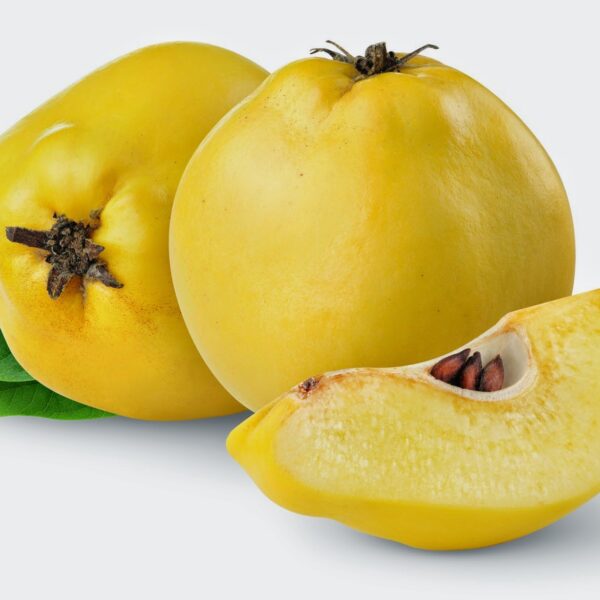 Ayva / Quince - Each
