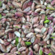 Ic Antep Fistigi Turkish (Tuzsuz Baklavalik) - /Turkish Unsalted Pistachio Unshelled LB